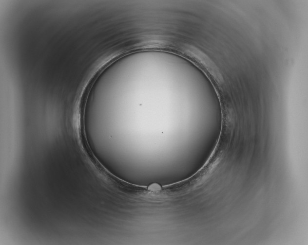 X0000101451418200807211303