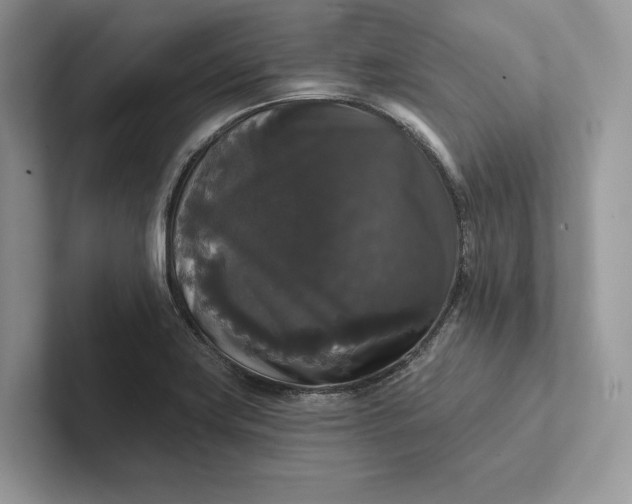 X0000101451419200807211303