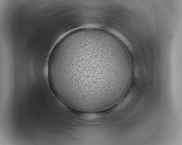 X0000101451420200807211303