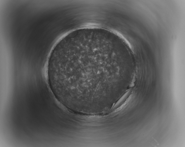 X0000101451421200807211303