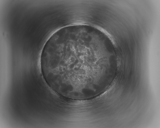 X0000101451423200807211303