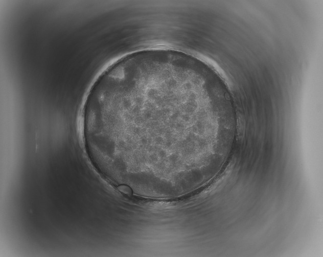 X0000101451424200807211303