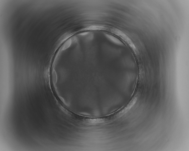 X0000101451425200807211303