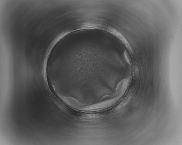 X0000101451427200807211303