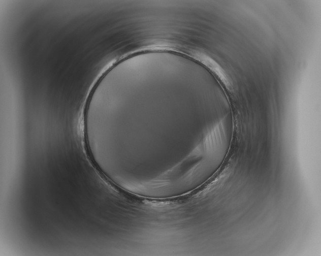 X0000101451428200807211303