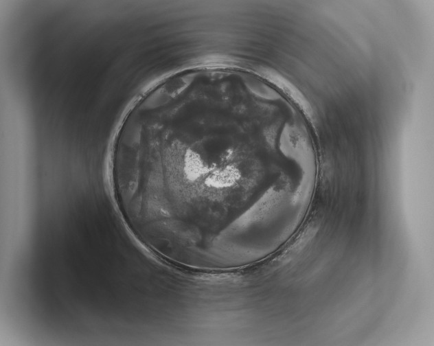 X0000101451429200807211303