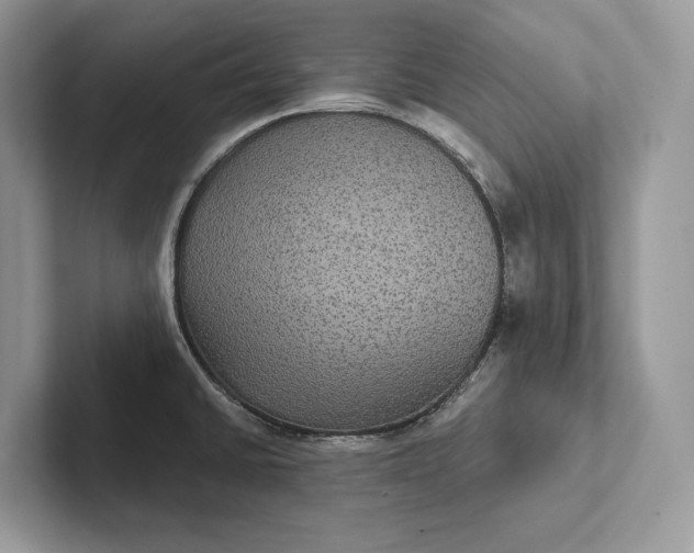 X0000101451430200807211303