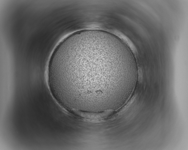 X0000101451432200807211303