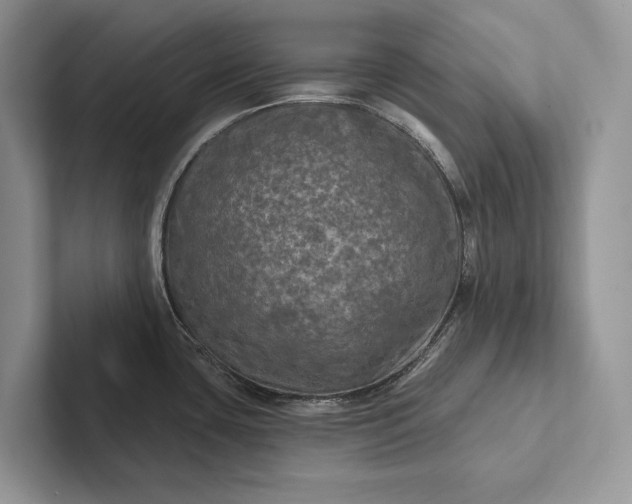 X0000101451435200807211303