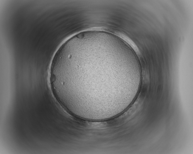 X0000101451436200807211303