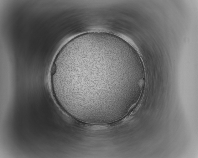 X0000101451440200807211303