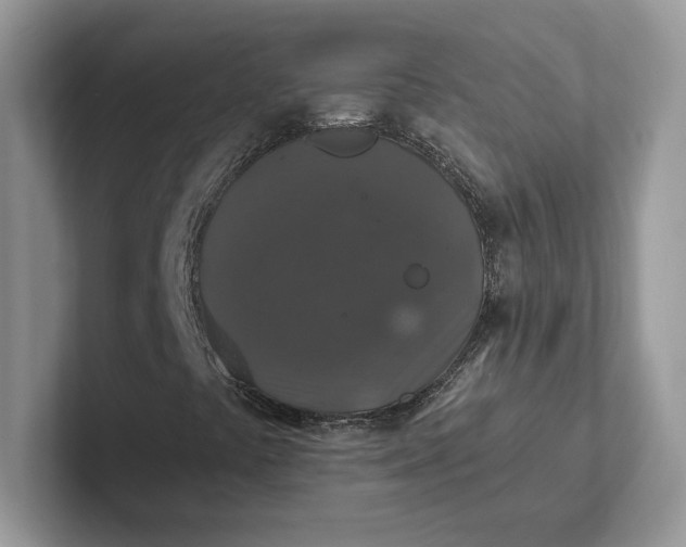 X0000101451441200807211303