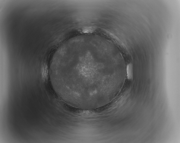 X0000101451443200807211303