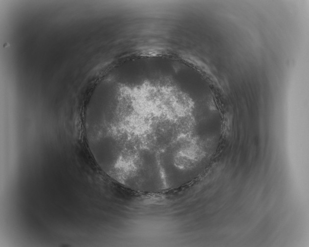 X0000101451446200807211303