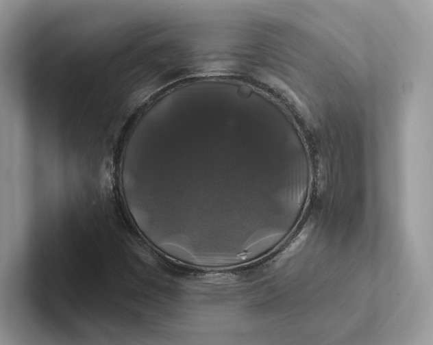 X0000101451449200807211303