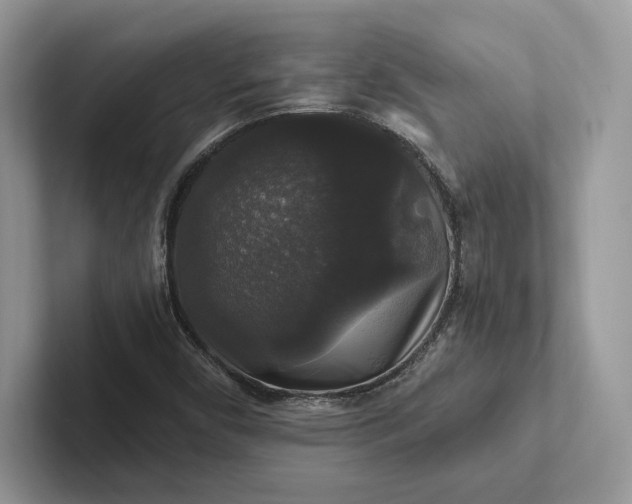 X0000101451450200807211303