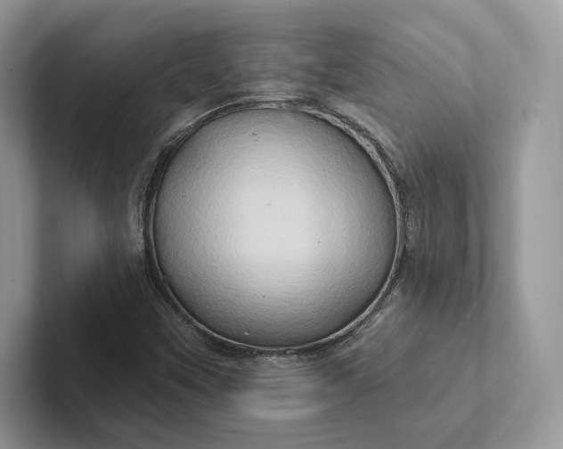 X0000101451451200807211303