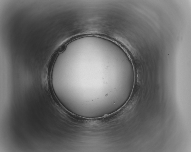 X0000101451452200807211303