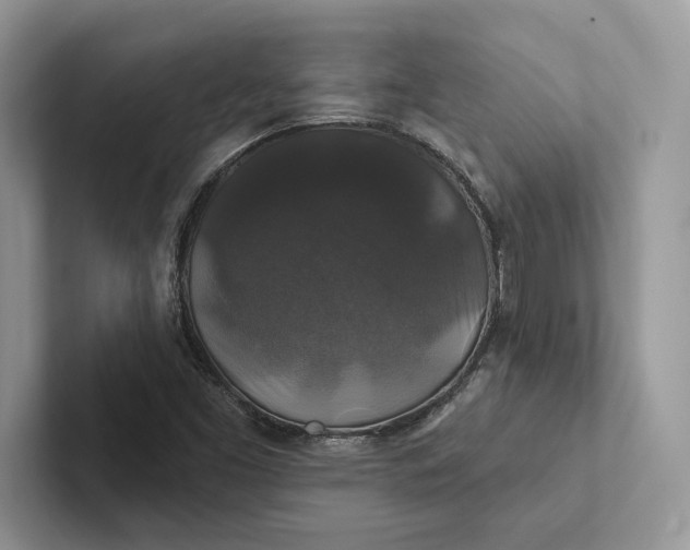 X0000101451453200807211303