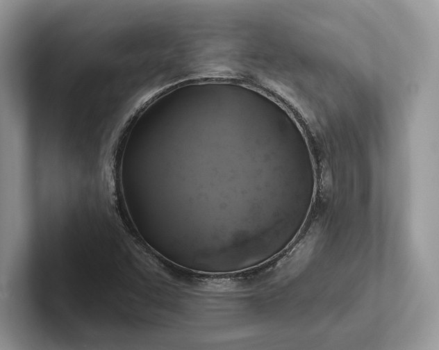 X0000101451455200807211303