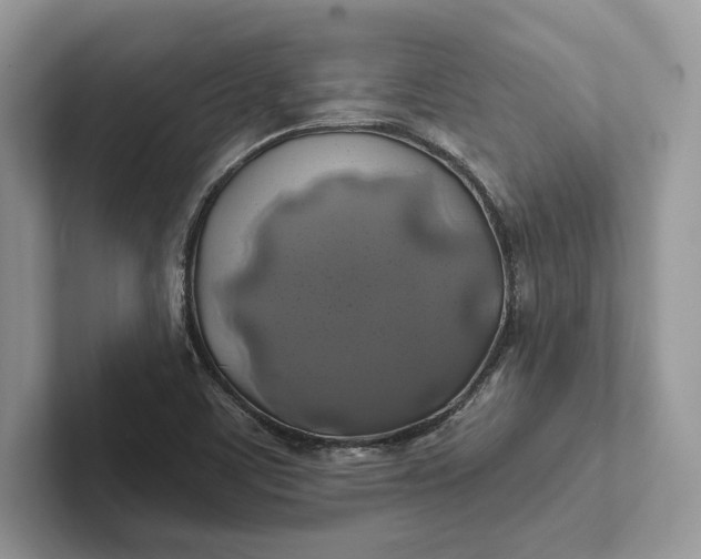 X0000101451459200807211303