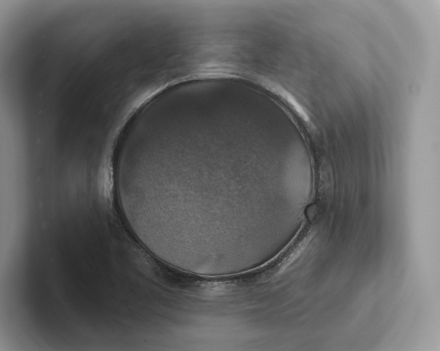 X0000101451461200807211303