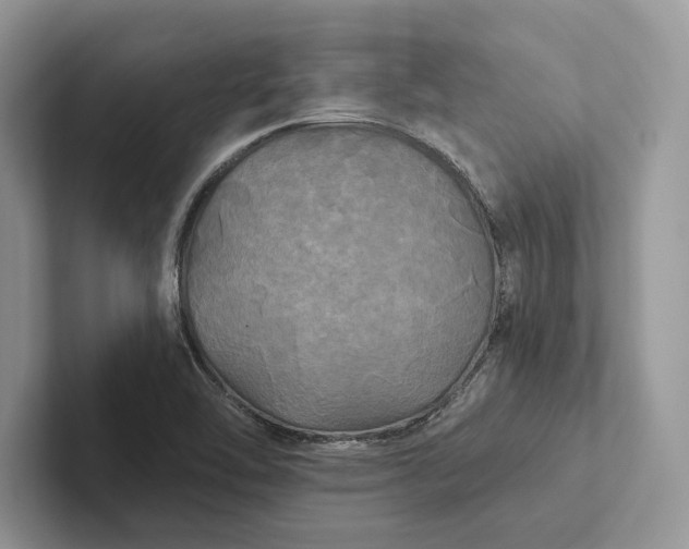 X0000101451462200807211303