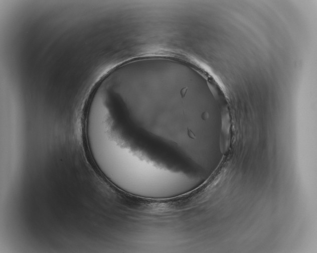 X0000101451463200807211303