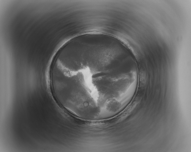 X0000101451466200807211303