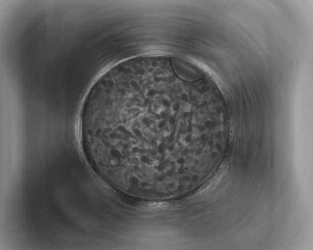 X0000101451467200807211303