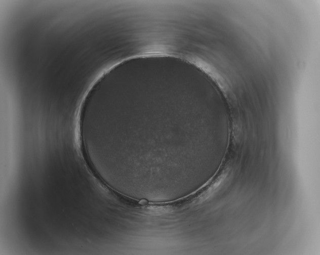 X0000101451469200807211302