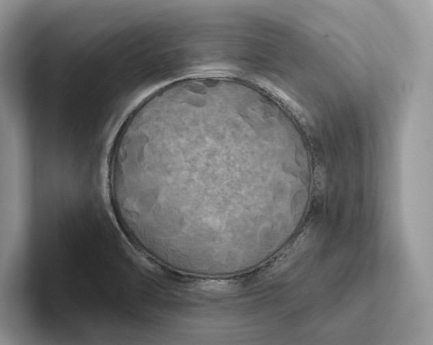 X0000101451470200807211302