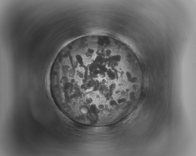 X0000101451471200807211302