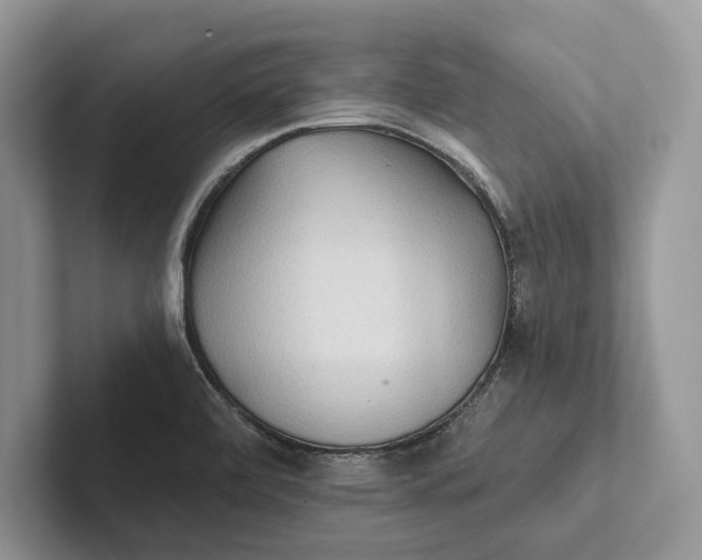 X0000101451472200807211302