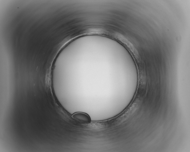 X0000101451473200807211302