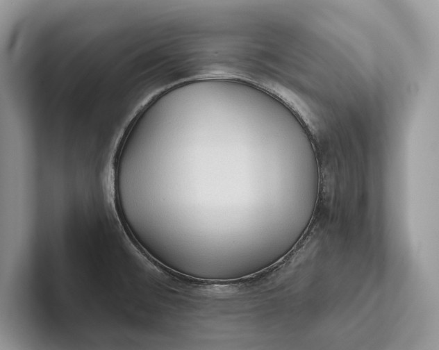 X0000101451476200807211302