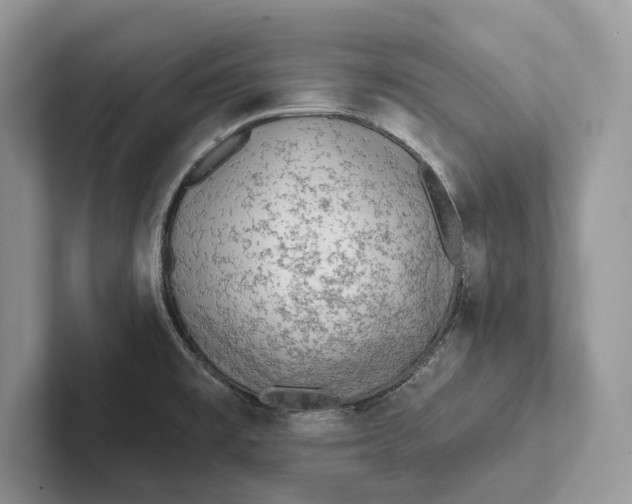 X0000101451477200807211302