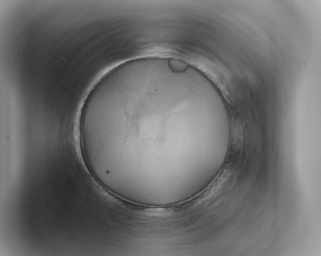 X0000101451478200807211302