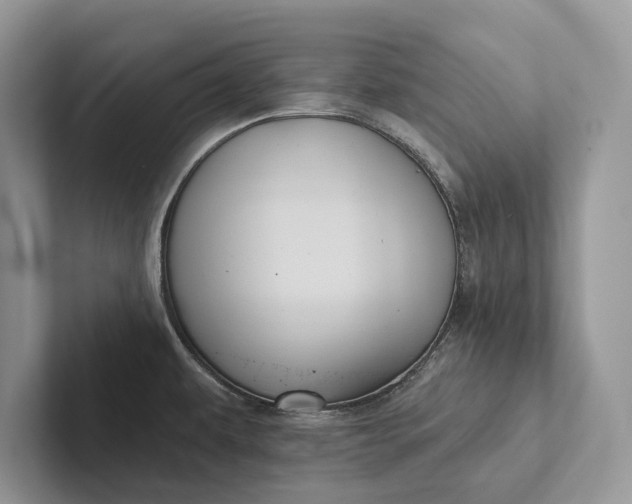 X0000101451479200807211302