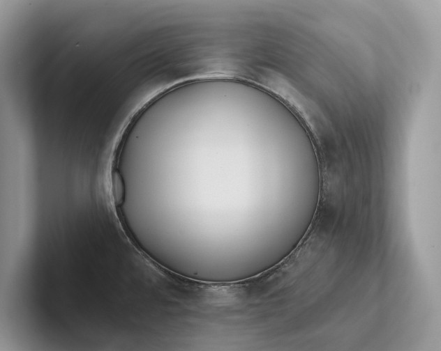 X0000101451480200807211302