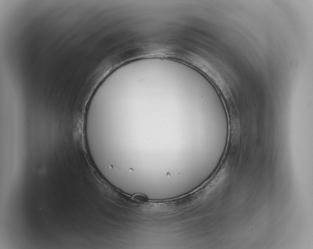 X0000101451481200807211302