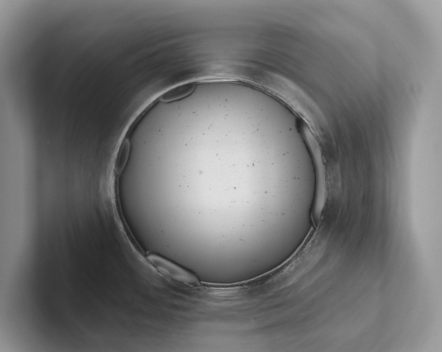 X0000101451484200807211302