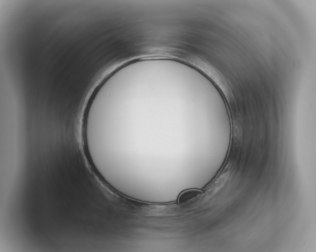 X0000101451485200807211302