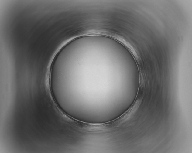 X0000101451486200807211302