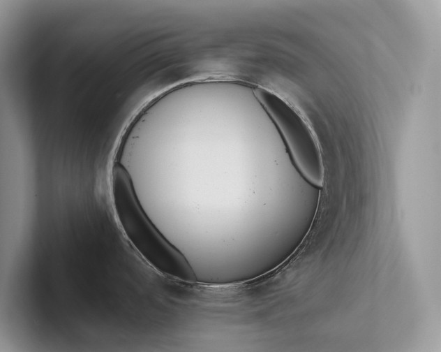 X0000101451488200807211302