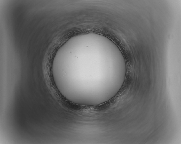 X0000101451489200807211302