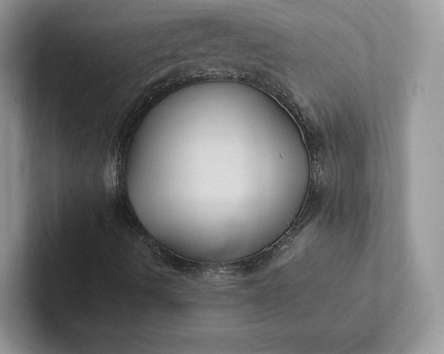 X0000101451490200807211302