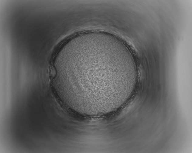 X0000101451494200807211302