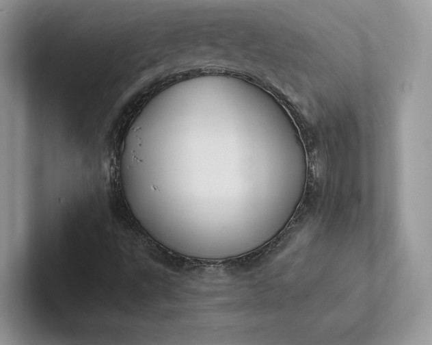 X0000101451495200807211302