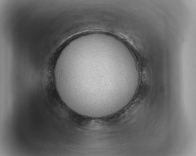 X0000101451496200807211302